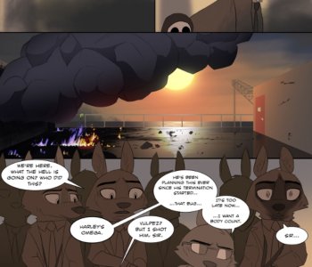 picture 14.jpg