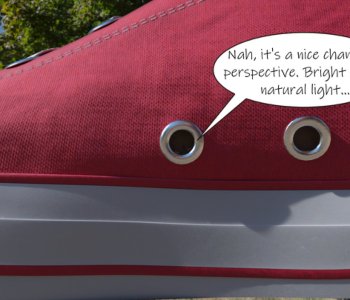 picture 52.jpg