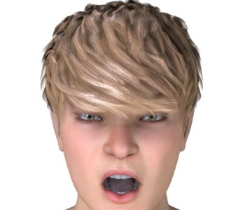 picture 12.jpg