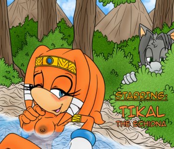 comic Issue 1 - Tikal The Echidna