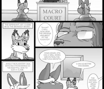 comic Macro Court