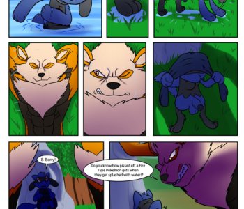 comic Wet An Arcanine, Drench A Riolu