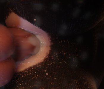 picture 28.png
