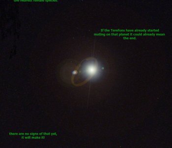 picture 08.jpg
