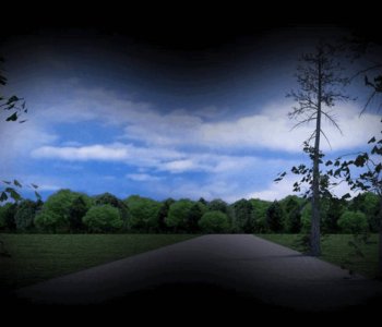 picture 26.jpg