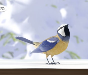 picture 24.jpg