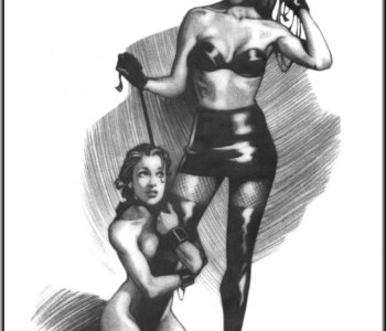 picture 11.jpg