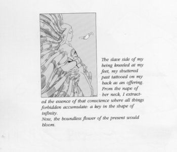 picture 22.jpg