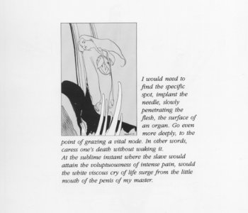picture 34.jpg