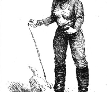 picture 16.jpg