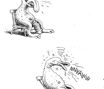 picture 24.jpg
