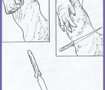 picture 20.jpg