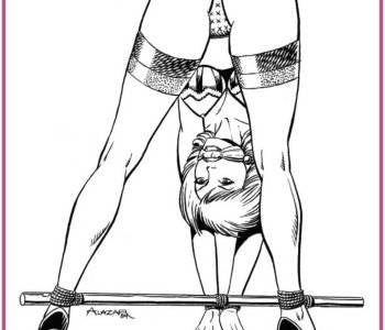 picture 15.jpg