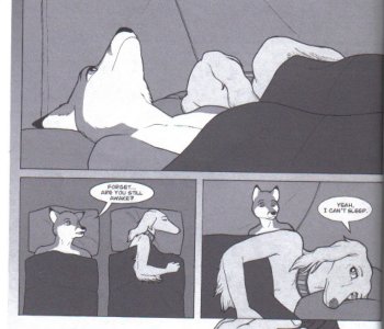 picture 17.jpg