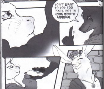 picture 33.jpg