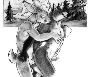 picture 15.jpg