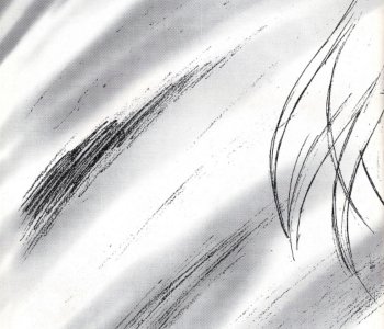 picture 13.jpg