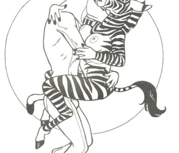 picture 16.jpg