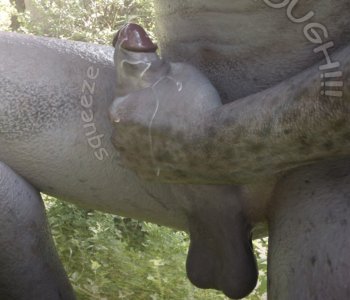 picture 73.jpg
