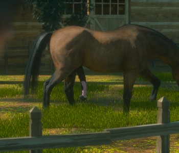 picture 04.png
