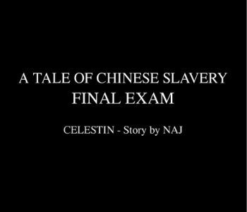 picture Fansadox-441---A-Tale-of-Chinese-Slavery-3---Celestin-009.jpg
