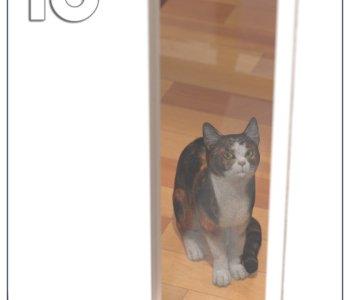 picture Neighbors-152.jpg