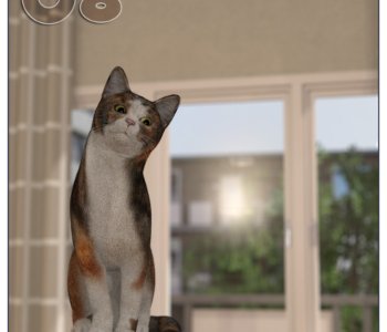 picture Neighbors-128.jpg