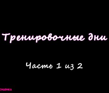 picture 03.png