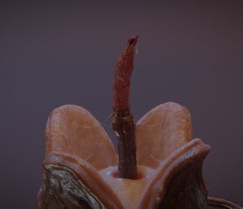 picture 04.png