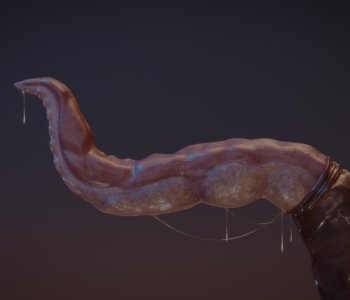 picture 10.png