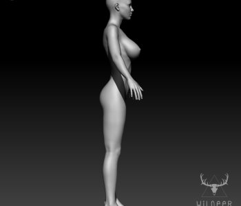picture 04.png