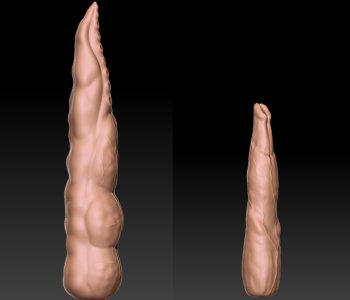 picture 03.png