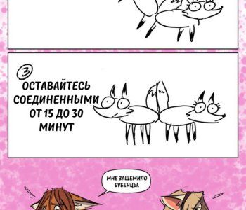 picture 15.jpg