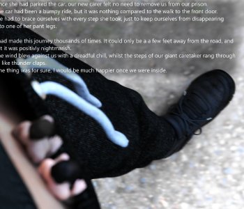 picture 14.jpg
