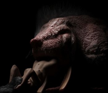 picture 41.png