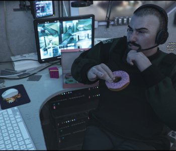 picture 13.png