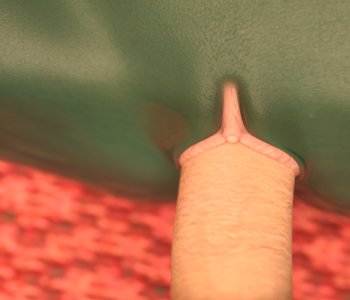 picture 50.png