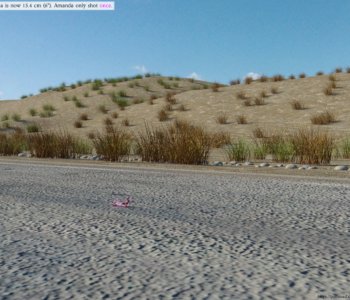 picture 490.jpg