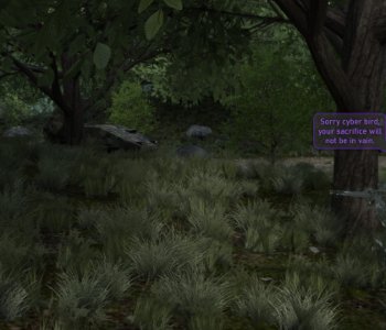 picture 10.jpg