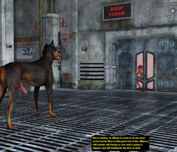 picture 09.png