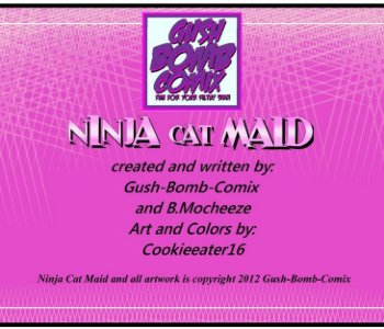 picture Ninja_Cat_Maid_02.jpg