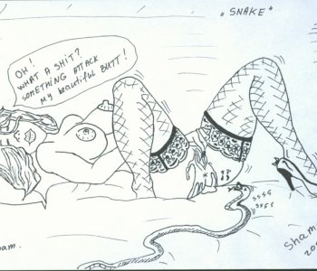 picture 27.jpg
