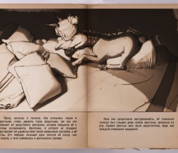 picture 11.jpg