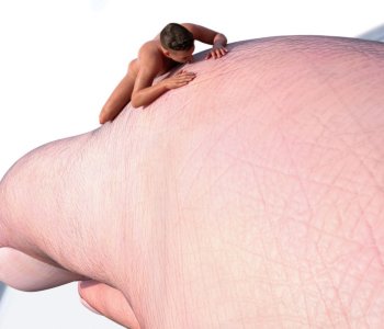 picture 19.png