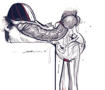 picture 35.png
