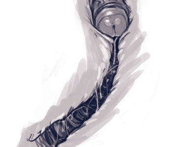 picture 57.png