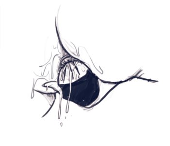 picture 67.png