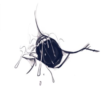 picture 65.png
