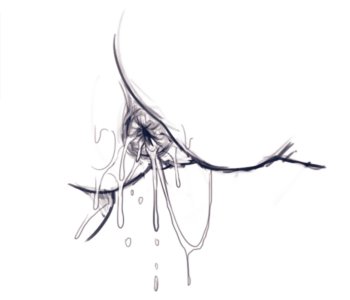 picture 66.png