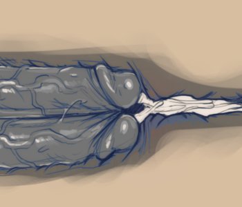 picture 48.png
